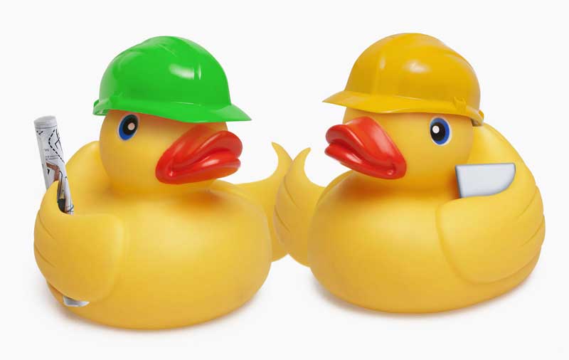 Rubber Ducks Construction Workers